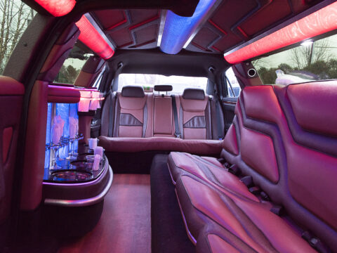 12 passenger Chrysler limousine