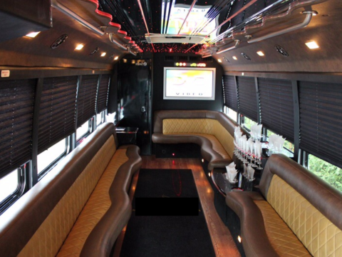 24 PASSENGER NEW YORK PARTY BUS