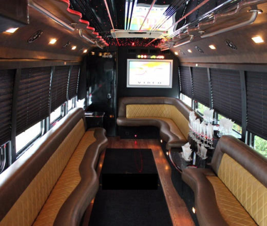 24 PASSENGER NEW YORK PARTY BUS