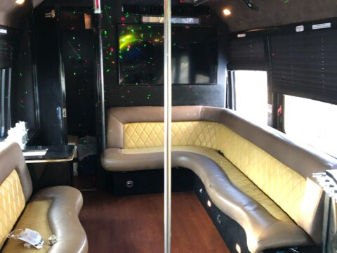 24 PASSENGER NEW YORK PARTY BUS