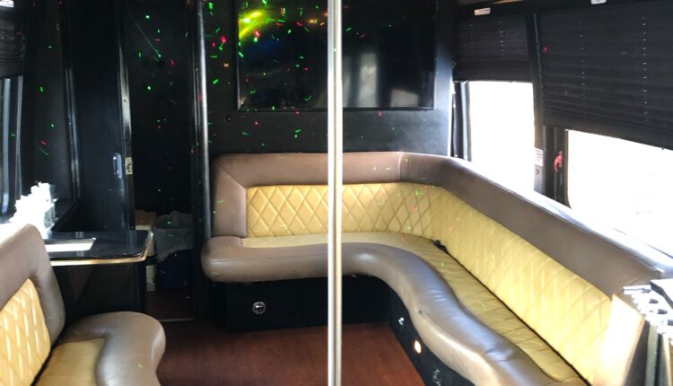 24 PASSENGER NEW YORK PARTY BUS