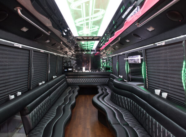 30 PASSENGER PARTY BUS
