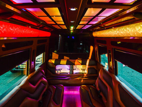 15 PASSENGER NEW YORK PARTY BUS